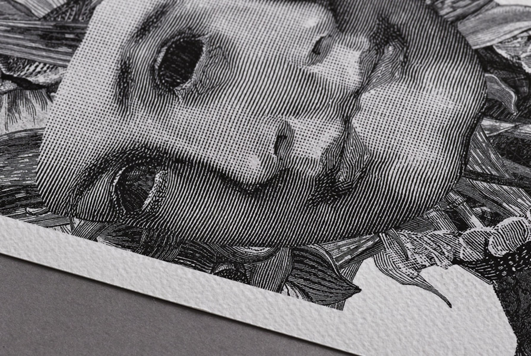 Hahnemühle German Etching : Le Papier de Choix des Artistes